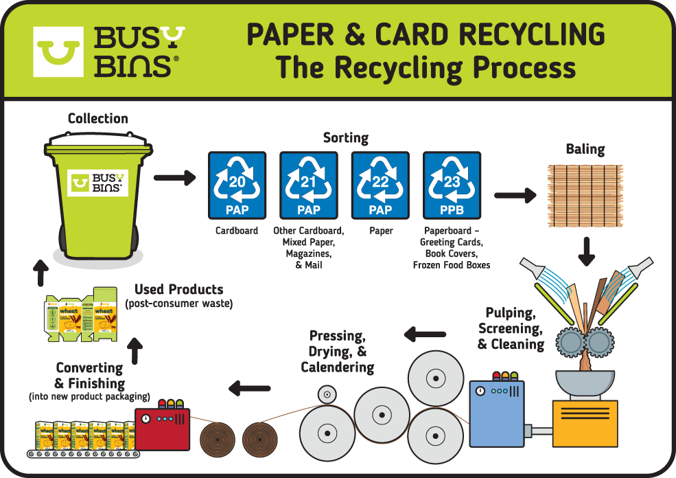 Cardboard and Paper Recycling Process Image. Simplified graphic showing the collection of paper and cardboard, sorting and baling before transportation to a recycling plant. Once at the plant the material goes through the next step of the process where it is pulped, screened, and cleaned before being pressed and dyed. The final stage then is to convert and finish the product into new packaging material. 